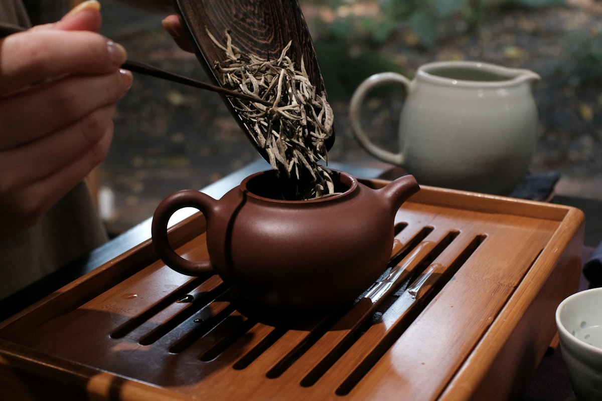 Tea master carefully processing tea leaves